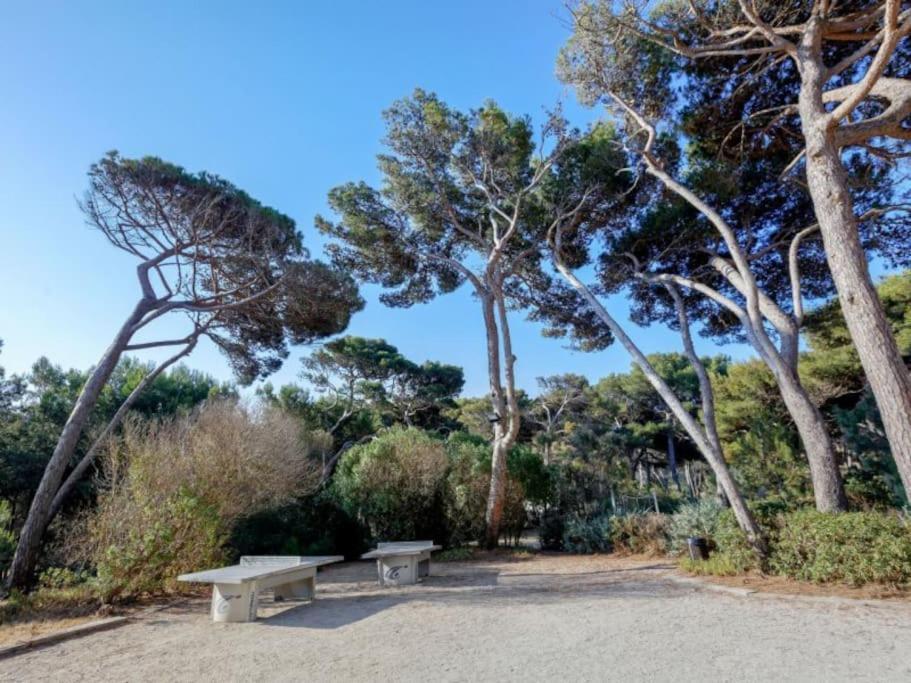 Superbe Appartement 50M De La Plage En Bord De Mer Hyères Dış mekan fotoğraf